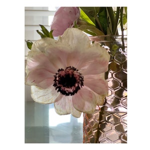 May include: A close-up of a light pink anemone flower with a dark center, set in a decorative glass vase. The vase has a honeycomb pattern. Other flowers and green leaves are visible in the background.