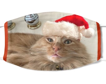 Orange Tabby Cat Santa Hat Face Mask, Pet Lover Gift