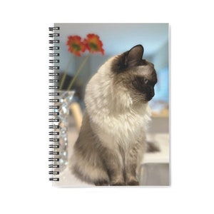 Ragdoll Cat Spiral Notebook. Cream colored fluffy cat posing. Cat lover gift.