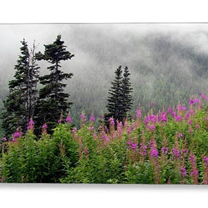 Alaska Pines and Wildflowers Greeting Card. Tongass National Forest Greeting Card. Alaska Wilderness Card, Skagway Scenic Mountain View