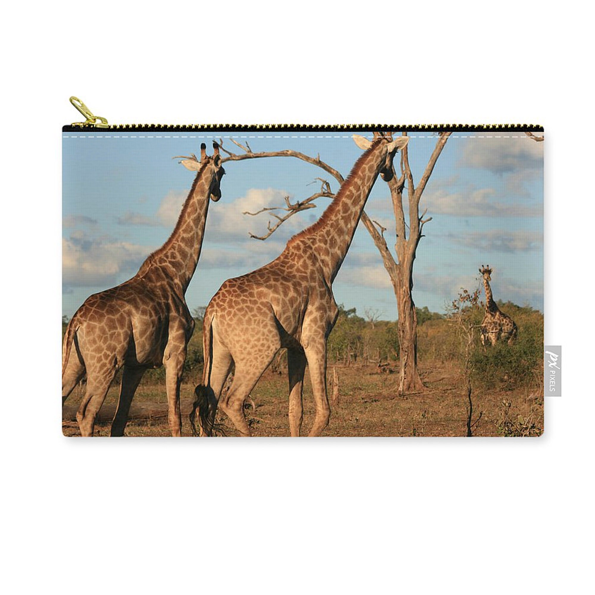 Giraffe küsst ihr Neugeborenes. : r/aww, image size:2000x2000