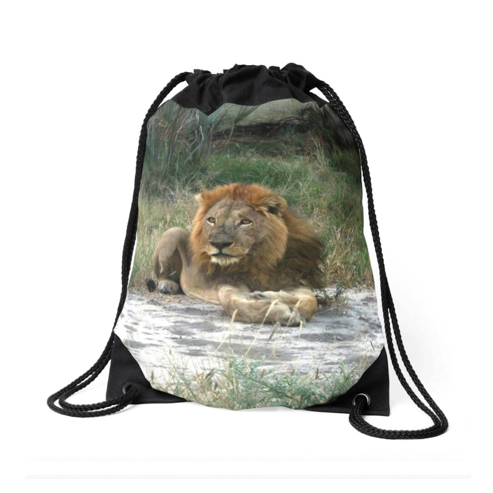 African Lion Drawstring Bag. Zimbabwe South Africa Etsy