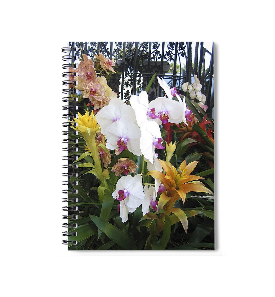 Colorful Orchids Spiral Notebook: Floral Art, Lined Pages - Etsy