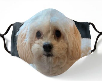 Mascarilla de perro Maltipoo: poliéster lavable, para niños y adultos