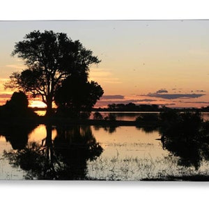 Biglietto di auguri African River Sunset. Interno vuoto e personalizzabile. Bellissimo tramonto sulla Caprivi Strip, Sudafrica.