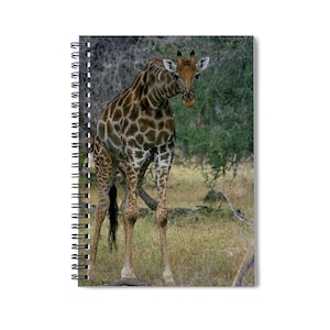 Giraffe Staredown notebook. Tall and bright patterned against the African Landscape. Giraffe lover gift