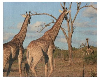 Giraffe Family jigsaw puzzle. Out of the Jungle on Safari in South Africa.