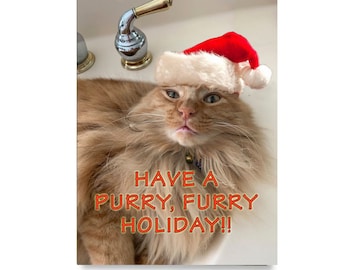 Ginger Cat holiday greeting card. Ginger cat art. Long Haired Orange Tabby cat with Santa hat.