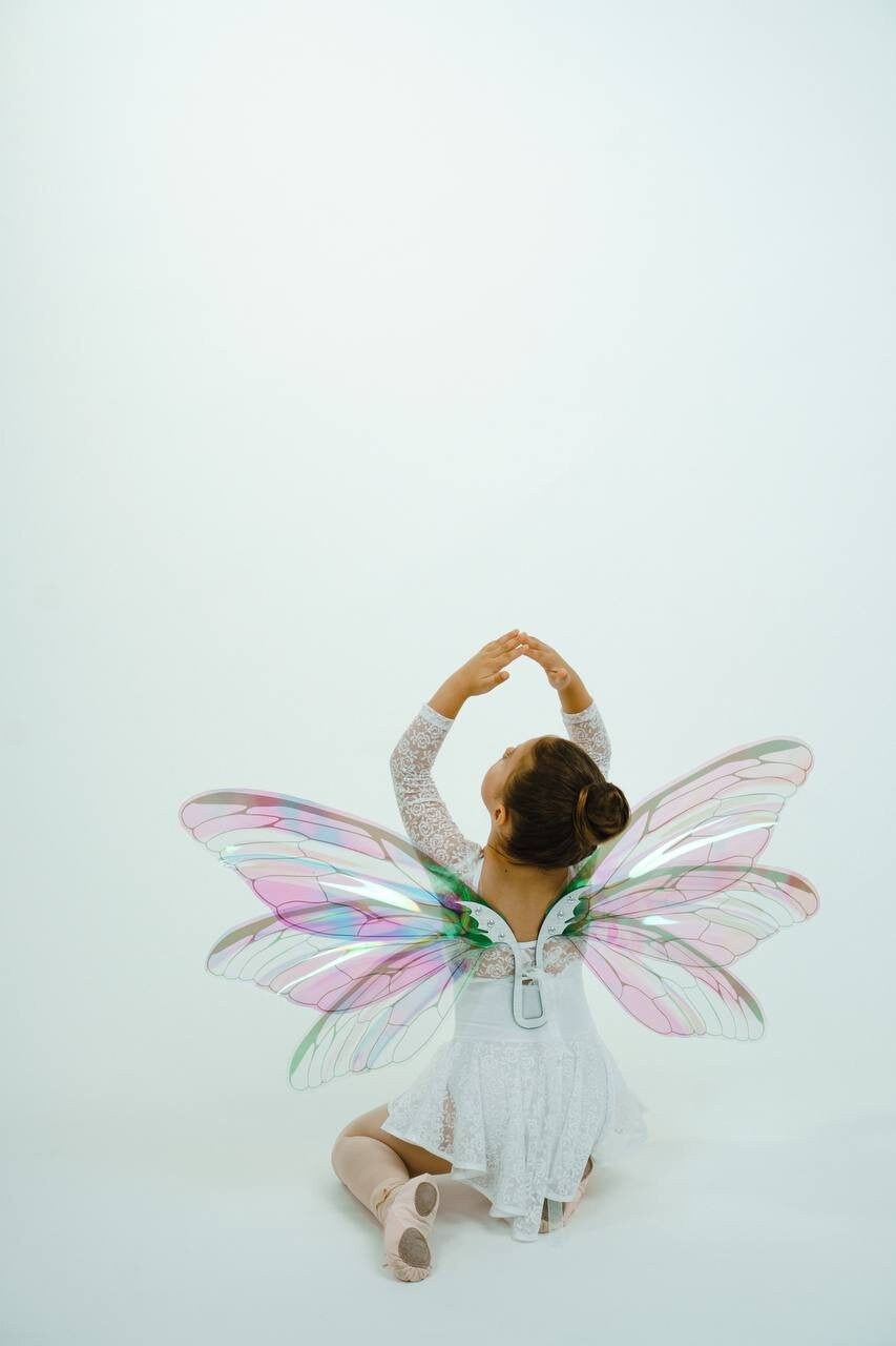 Regenbogen Feenflügel Elfenflügel Feen Flügel Foto Prop | Etsy