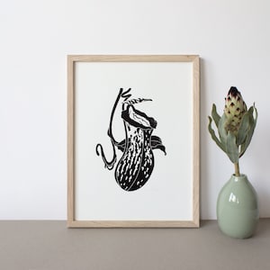 Pitcher vulvi | Lino print | vulva | Yoni | Feminism | carnivore plant | Printmaking | Print | Art | handmade | A3 | A4 | Block print