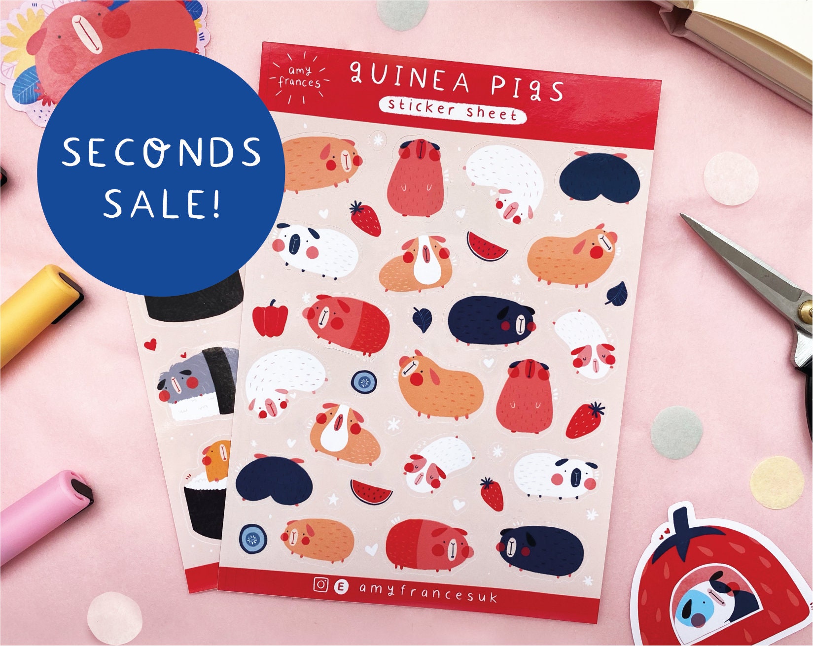 SECONDS! Guinea Pig Sticker Selection - Slight Imperfections - Cute G…