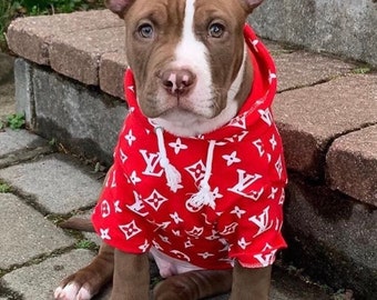 gucci hoodie for dogs