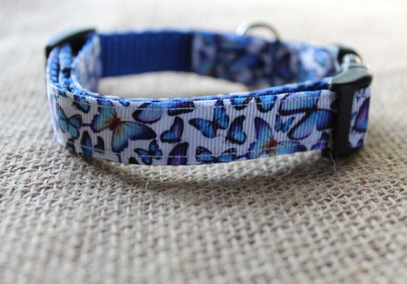 etsy small dog collars
