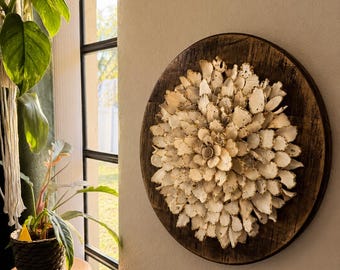 Decoración de pared con flores de concha / Arte con conchas de ostra / Adorno de pared bohemio costero / Regalo para casa de playa / Hoja de oro / Conchas de Sanibel