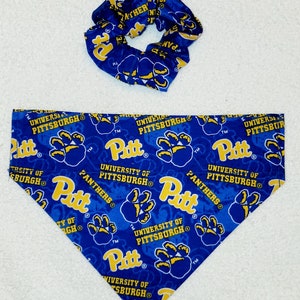 Pitt hotsell dog bandana