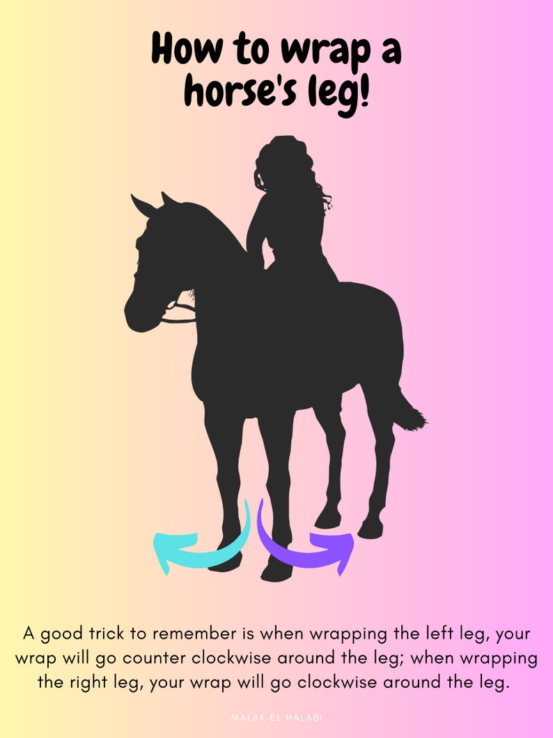 Horse Leg Wrapping Poster Etsy