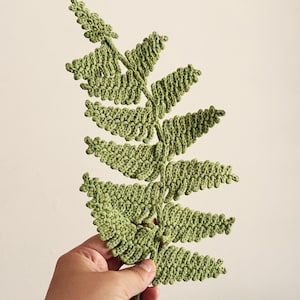 Puede incluir: Una hoja de helecho tejida a ganchillo en color verde claro que presenta un tallo central con múltiples frondas ramificadas y texturizadas. La pieza está elaborada con puntadas de hilo visibles, creando una forma botánica detallada.