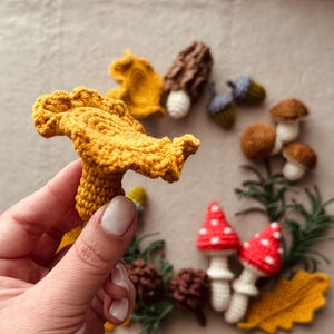 Pode incluir: Uma cole&ccedil;&atilde;o de cogumelos, bolotas e folhas de croch&ecirc; feitos &agrave; m&atilde;o em v&aacute;rias cores. O primeiro plano apresenta um grande cogumelo amarelo segurado por uma m&atilde;o. Outros cogumelos s&atilde;o marrons, vermelhos com bolinhas brancas e pequenos marrons. Bolotas e uma folha amarela tamb&eacute;m est&atilde;o presentes.