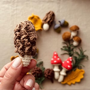 Pode incluir: Uma cole&ccedil;&atilde;o de cogumelos, bolotas e folhas de croch&ecirc; feitos &agrave; m&atilde;o em v&aacute;rias cores. O foco central &eacute; um cogumelo morel marrom com uma haste creme. Outros cogumelos incluem chap&eacute;us vermelhos e brancos com bolinhas.