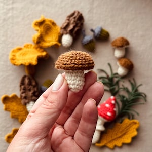 Pode incluir: Uma cole&ccedil;&atilde;o de cogumelos de croch&ecirc; feitos &agrave; m&atilde;o em v&aacute;rias cores e estilos. Um cogumelo com chap&eacute;u marrom e caule branco &eacute; segurado em uma m&atilde;o. Outros cogumelos incluem amarelo, marrom e vermelho com bolinhas brancas. Tamb&eacute;m est&atilde;o presentes galhos e folhas verdes.