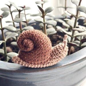 May include: A small, handcrafted crochet snail featuring a spiraled shell in a medium brown yarn and a lighter beige body. The snail has two small, upright antennae on its head and a textured, stitched surface throughout its entire form.