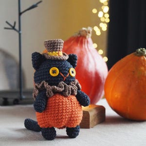 May include: A handmade crochet cat doll wearing a brown top hat, ruffled collar, and orange pants. The cat has yellow button eyes and a black body. Two pumpkins are in the background, one orange and one red.