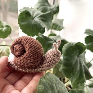 May include: A small, handcrafted crochet snail featuring a dark brown coiled shell and a light beige body with two small antennae. The textured yarn construction creates a soft, rounded appearance for this decorative stuffed animal figure.