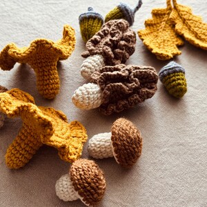 Pode incluir: Uma cole&ccedil;&atilde;o de itens de croch&ecirc; feitos &agrave; m&atilde;o, incluindo cogumelos, bolotas e folhas. Os cogumelos s&atilde;o em tons de marrom e branco, enquanto as folhas e alguns cogumelos s&atilde;o amarelo dourado. As bolotas s&atilde;o verdes e cinzentas.