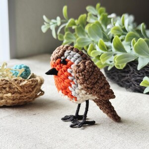 Crochet Bird Pattern - Robin with Nest and Eggs - PDF tutorial image 7