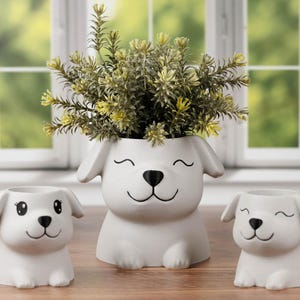 May include: Three white ceramic dog-shaped planters with smiling faces. The largest planter holds a green and yellow plant. The planters are on a wooden surface in front of a window.