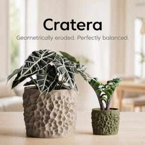 May include: Two textured planters with plants. The larger planter is beige and holds a plant with dark green leaves and white veins. The smaller planter is olive green and contains a plant with smaller green leaves. The word "Cratera" is at the top.