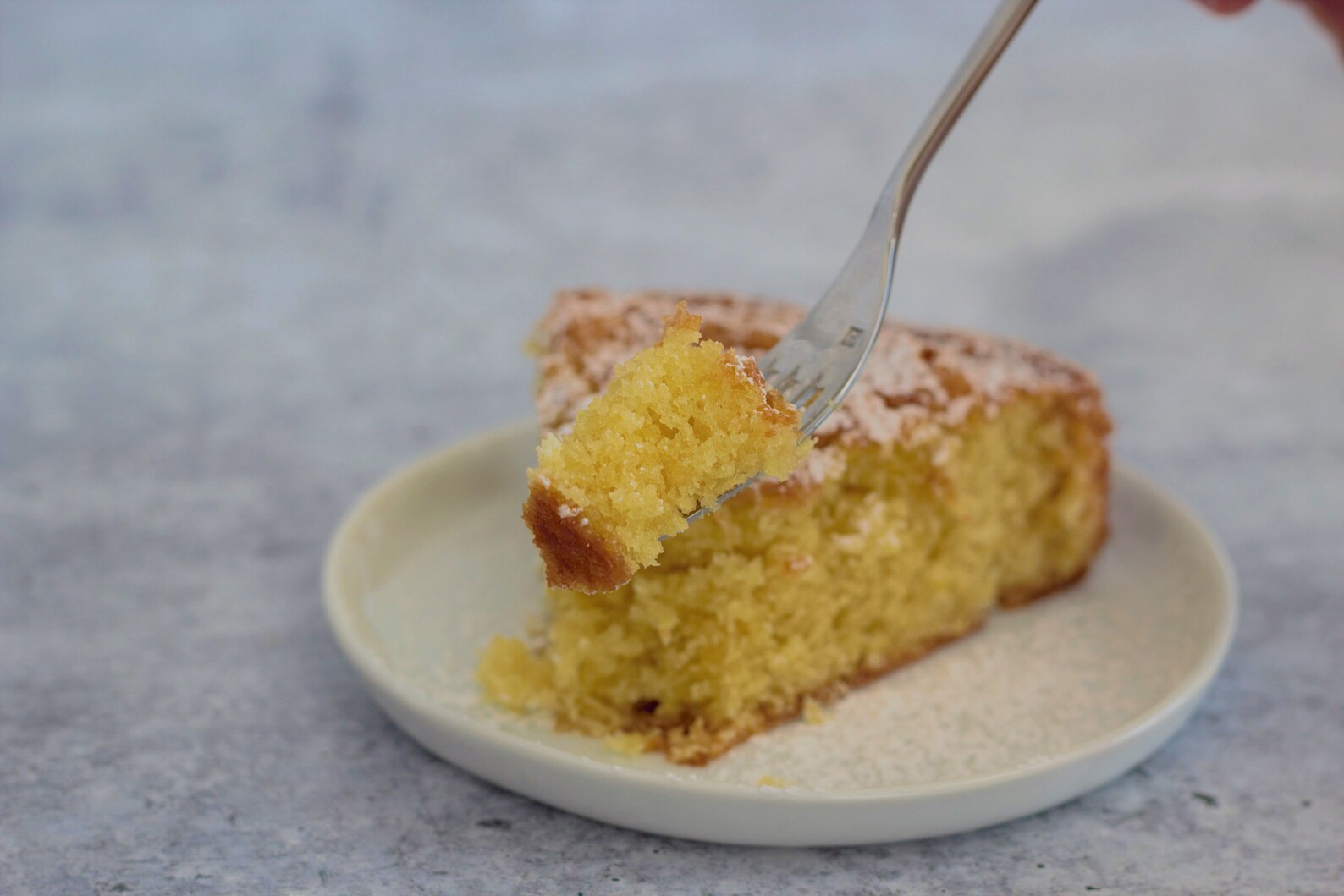 Gluten Free Classic Olive Oil Cake Etsy