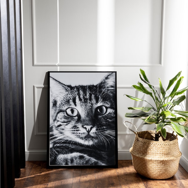 Cat Print Peeking, Black Cat Painting Print, Cat Wall Art, Cat Lover Gift, Art Print Unframed, Poster Large Wall Art Gift, DIGITAL DOWNLOAD