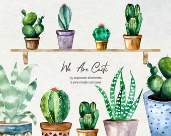 Cactus Watercolor Etsy