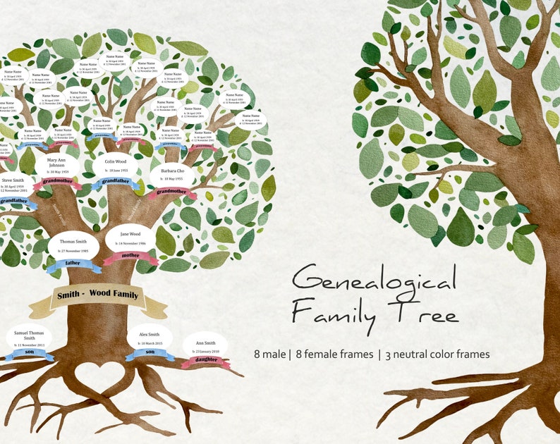Watercolor Family Tree Clipart Watercolor 4 Generation Tree | Etsy