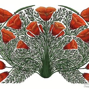 Eschscholzia californica (California Poppy) 9&quot; x 12&quot; Print