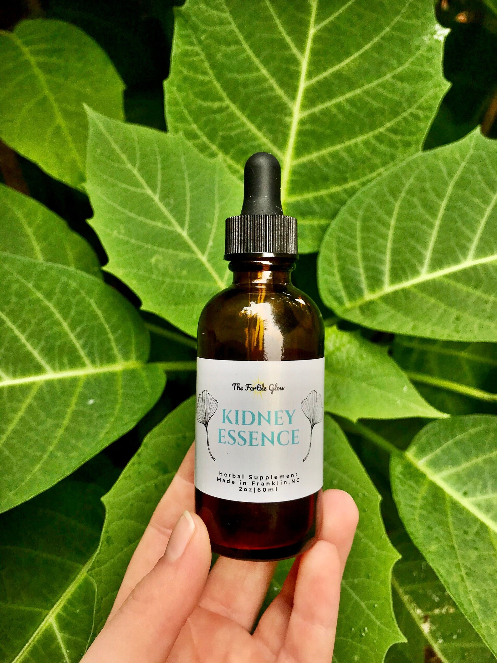 Kidney Essence Herbal Tincture Kidney Support Tincture Etsy