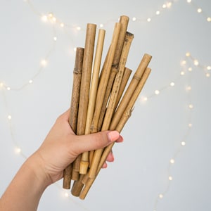 Op de afbeelding: Een bos natuurlijke bamboe rietjes, vastgehouden in een hand, tegen een witte achtergrond met lichtslingers.
