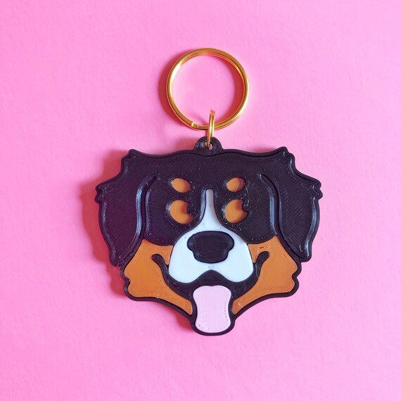 Bernese mountain dog clearance gear