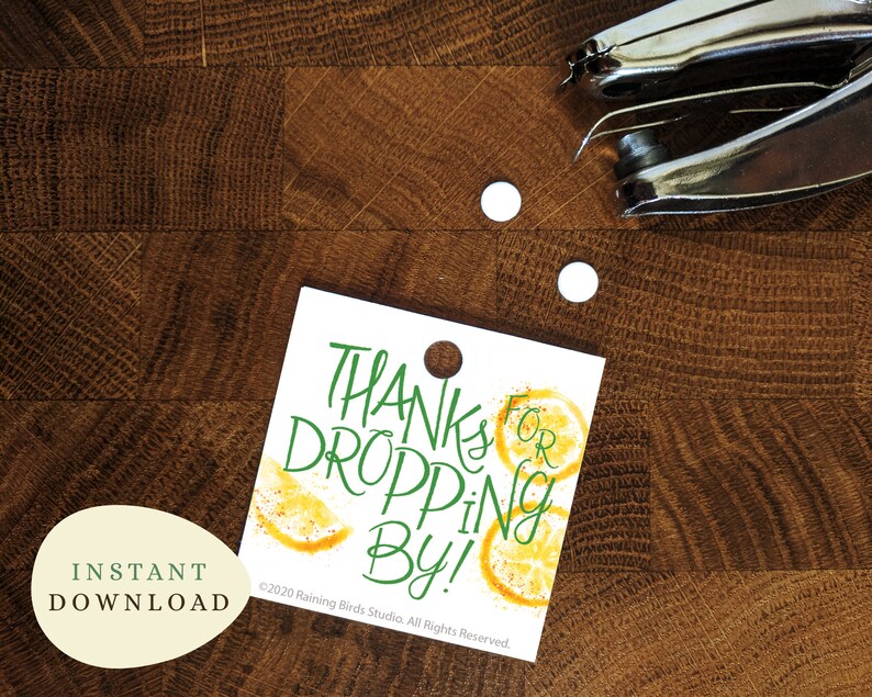 DIY Bridal Shower Favor Tags Citrus Bridal Shower Tags Etsy