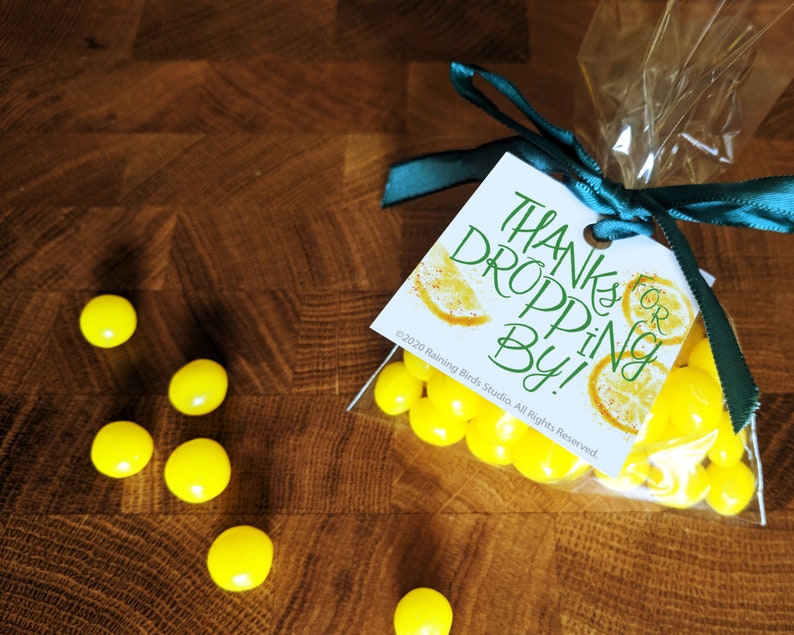 DIY Bridal Shower Favor Tags Citrus Bridal Shower Tags Etsy