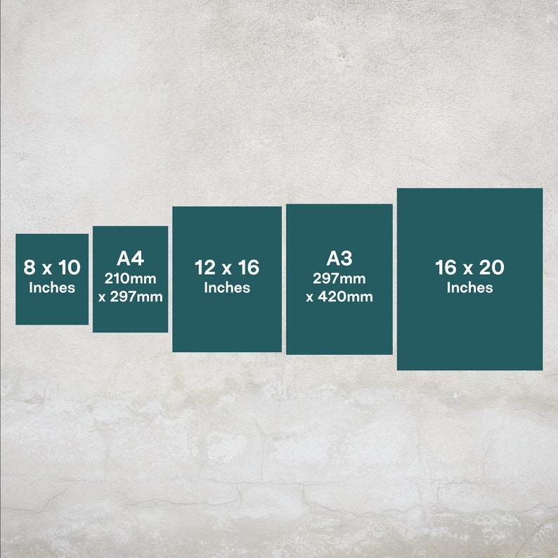 May include: A comparison chart of different paper sizes in inches and millimeters. The chart shows the dimensions of 8x10 inches, A4 (210mm x 297mm), 12x16 inches, A3 (297mm x 420mm), and 16x20 inches.