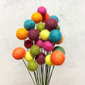 May include: A bouquet of felt balls in various colors, including red, orange, yellow, green, blue, and purple. The balls are attached to thin green stems.