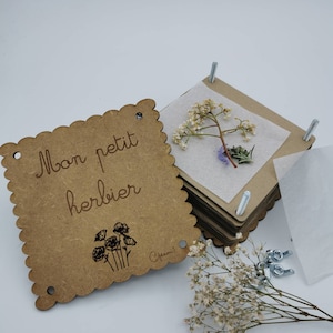Herbarium - "My little herbarium"