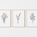 Botanical Print Set of 3, Printable Drawing Prints, Black And White Art, Wildflowers Prints, Rustic Home Decor, Instant Download 