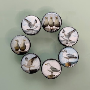 May include: Eight circular buttons with images of seagulls. Each button has a black edge and a shiny surface. The seagulls are shown in different positions, some flying and others standing on posts, with a coastal theme.