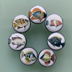 Peut inclure: Huit aimants décoratifs ronds, chacun présentant une illustration détaillée d'un poisson coloré différent. Les motifs de poissons présentent divers motifs et teintes, sur fond blanc avec une bordure noire.