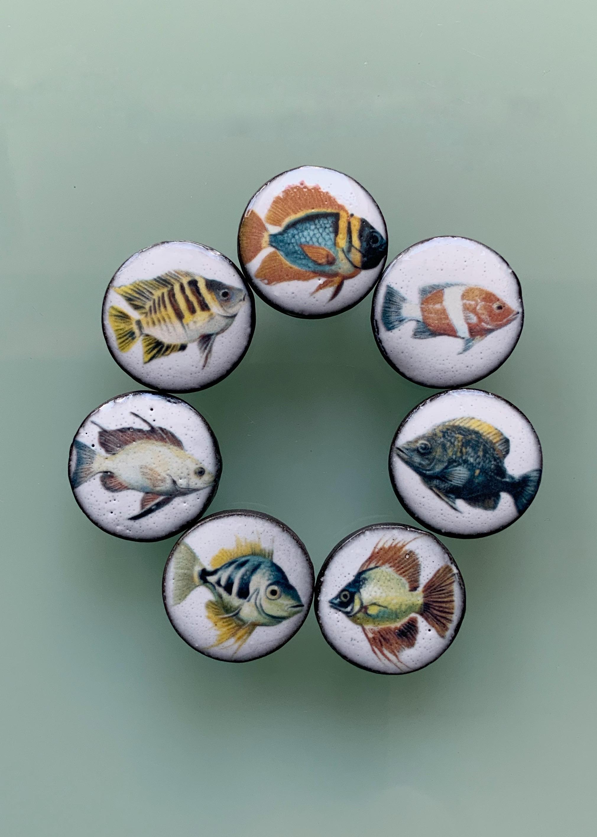 7 Buttons “colorful Fish” 20 Mm - Etsy