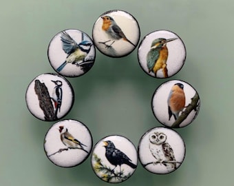 8 buttons “Garden Birds” 20 mm