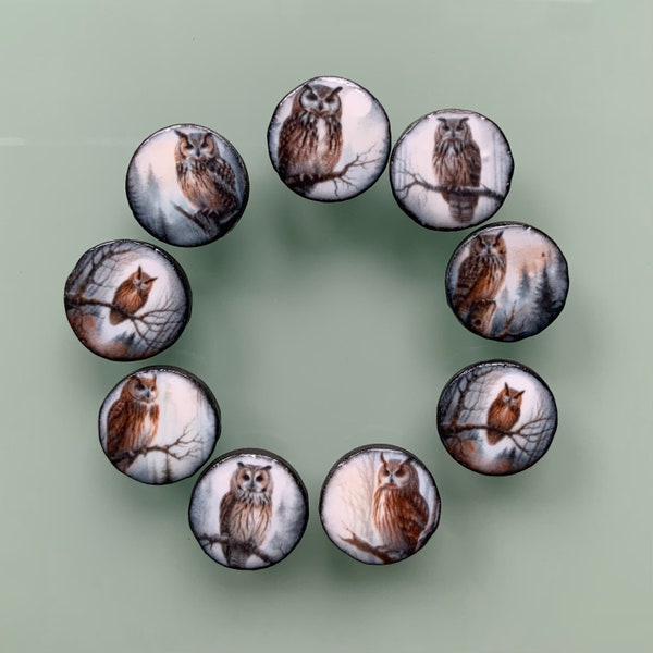 9 buttons “owls” in 20 mm